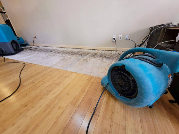Professional Sewage Cleanup technician working in Oakland, KY